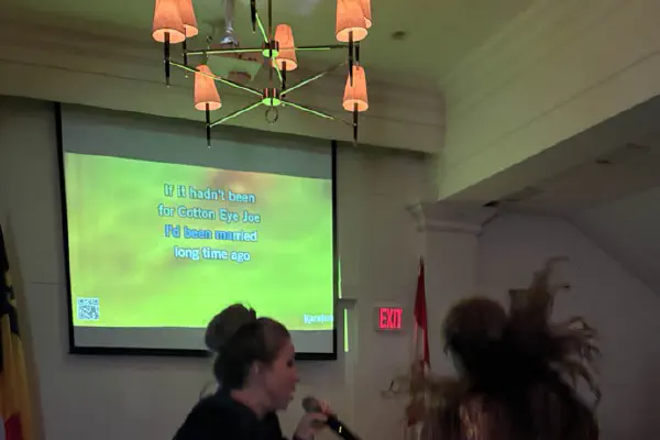 day 2 - dinner - karaoke